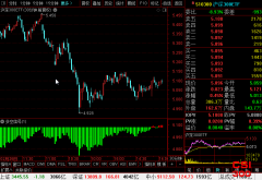 <b>沪深300ETF(510300)最新个股多空信号查询截图数据(30分钟)查询——2021年3月17日</b>