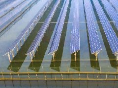 尽管损失惨重 中国太阳能产业仍显示出希望