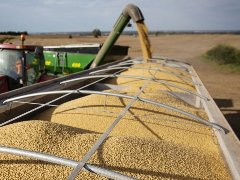 在美国农民苦苦挣扎之际 巴西准备再次获得巨大的大豆收成