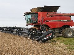 特朗普因大豆出口停滞而威胁对中国实施食用油禁运