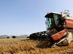 伊朗战争扰乱化肥供应链 全球食品价格或上涨